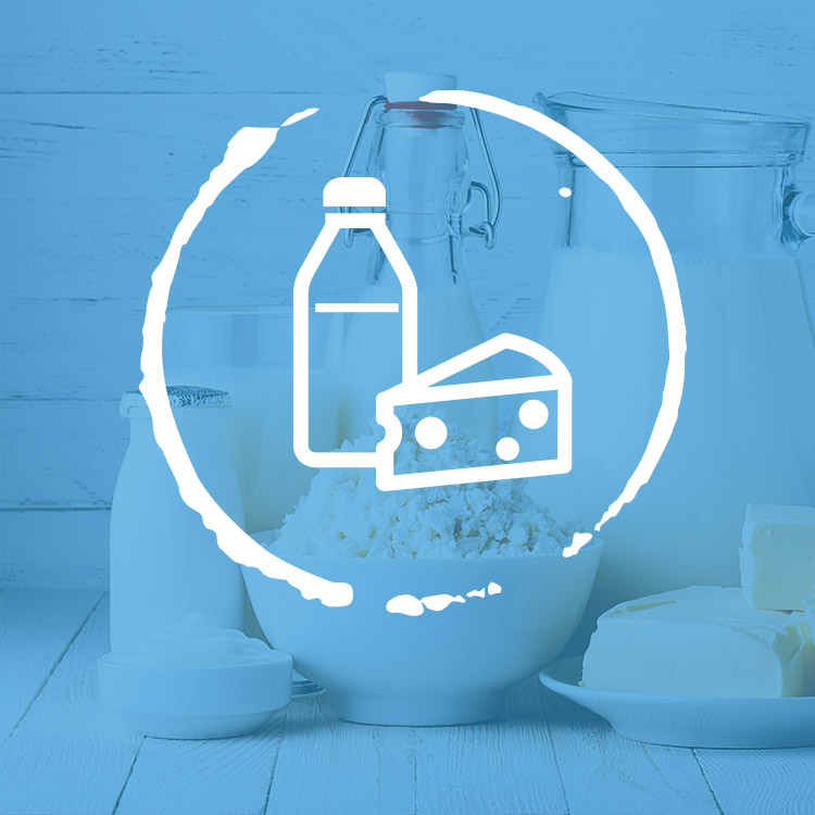 Mlékárenský průmysl